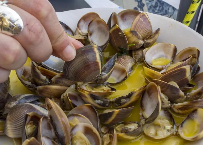 B48 - Olive Tree Street 2 Bed *